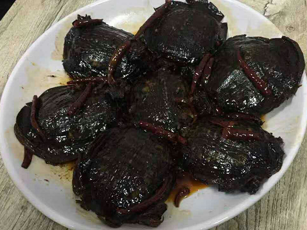 特色甲魚(yú)